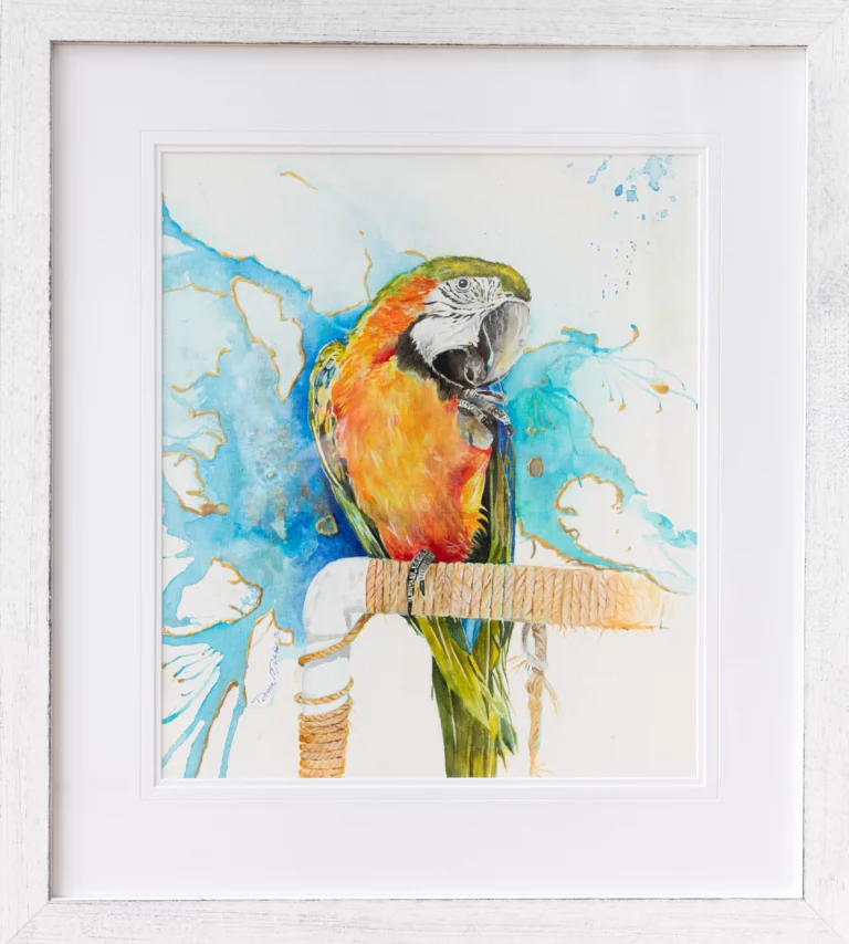 Diana Mitchell's "Macaw Splendour" Watercolour on Paper artwork for sale