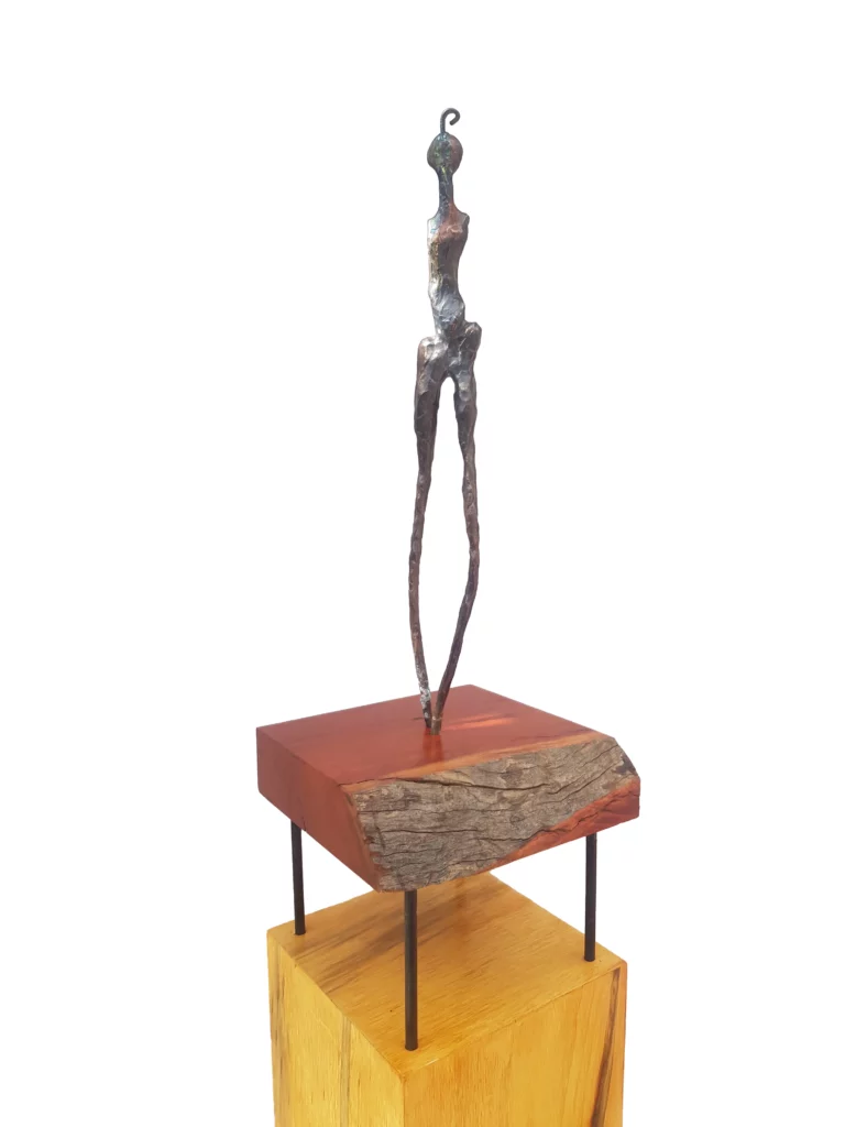 Rayna Schofield's "E Solus" Bronze on Hardwood Base artwork for sale