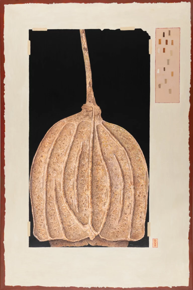 Gishka VanRee's "Gumnut" No 1 artwork for sale
